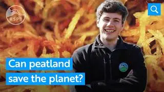 What is peatland and can it save the planet? | RSPB Nature Explained