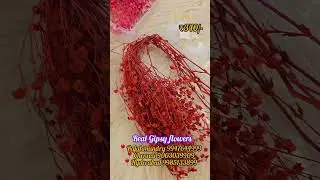 Subscribe PLUSH📍Chennai  9003039909📍 Rajamundry 9947644999, 📍 Hyderabad 9985133899.