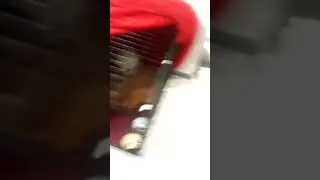 Клетка номер 4 Лео