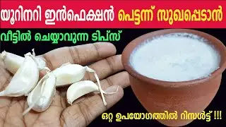 യൂറിനറി ഇൻഫെക്ഷൻ പെട്ടന്ന് സുഖപ്പെടാൻ ചെയ്യേണ്ടത് Urinary Tract Infection Home Remedies