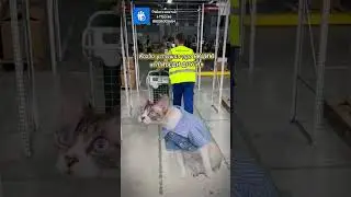 ☝️Акция все еще действует! Приведи друга и получу 10000Р. ☎️ 88006005664. #вахтамосква