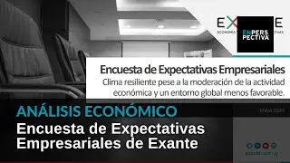 Encuesta de Expectativas Empresariales de Exante: Resiliencia a pesar del enfriamiento económico