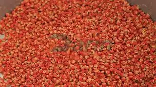 automatic full production double color dry kibble pet food processing machines dog food  line
