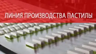Поточная линия производства пастилы