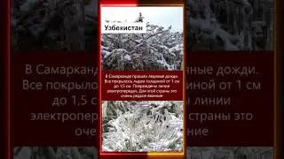 🔴🌍КЛИМАТИЧЕСКИЕ СОБЫТИЯ 20.02.2024