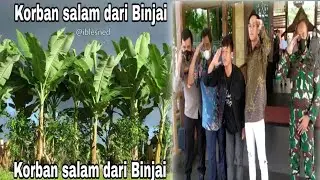 SALAM DARI BINJAI ( KUMPULAN VIDIO TIK TOK VIRAL SALAM DARI BINJAI )!!