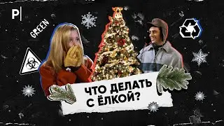 Почему живая ёлка экологичнее и что с ней потом делать?