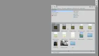 Adobe Bridge CS5: Better media management