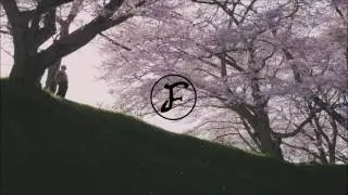 DJ Okawari  -  Bounce (ft. Talib Kweli)