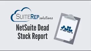 NetSuite Dead Stock Report