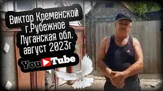 Николаевские голуби. Виктор Кременской г.Рубежное Луганская обл. Август 2023