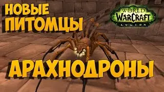 Арахнодроны - новые питомцы ханта в Легионе
