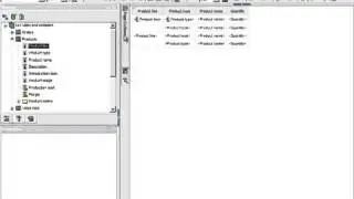 IBM Cognos Report Studio--- Promt Basics