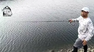 napaka murang fishing rod