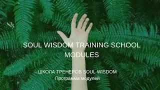 Школа Сатьи AWARENESS FACILITATOR. Программа модулей.