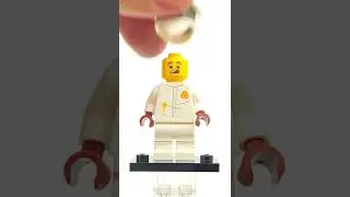 LEGO 71029 Minifigure Collectable Minifigures Series 21 - Beekeeper 71029-07