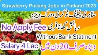 Finland Packing Jobs & Work Permit Visa For Pakistanis |I Good Salary || Best Chance to come Finland