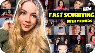 ASMR: Fast Unpredictable Scurrying Up to Camera with Friends 🥰