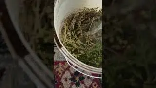 14 сентября 2020 г.