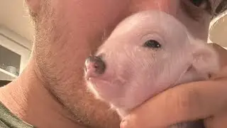 Maizey Moo live feeding and Physical Therapy!