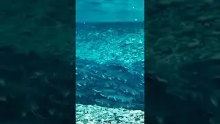 Рыбалка на Камчатке #shorts #fishing #рыбалка
