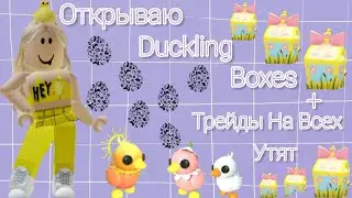 Открываю Duckling Boxes + Трейды На Всех Утят