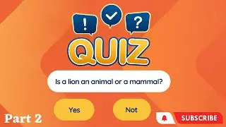 Quiz app in Android Studio - Create beautiful Home screen in android studio with java