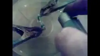 Small scale HHO water cell