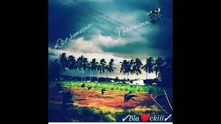 Nature love what's app status