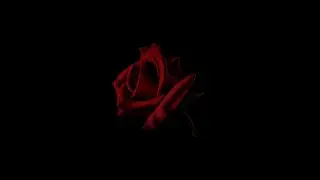 [FREE] Pop Smoke Type Beat 2020 - 