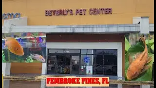 Beverly's Pet Center Store Tour