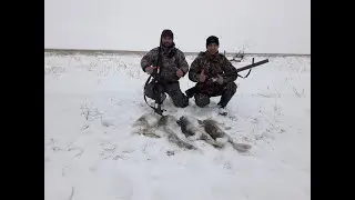 Супер охота на ЗАЙЦА 2018-2019 г №2 