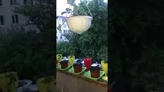 LENA🌺LETО: Прямой эфир сегодня 16 мая 2024 года в 