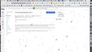 How to Submit a Canvas Text Entry Assigment