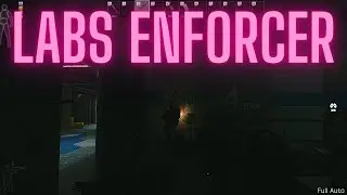 Labs Enforcer 🥶