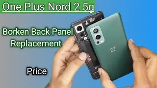 One Plus Nord 2 5g Back Panel Replacement / Price