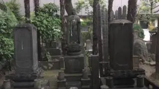Hidden Edo Period Cemetery in Shiba Park