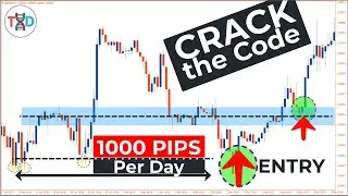 🔴 1000-Pips / Day "CRACK THE CODE:" INSIDER SECRETS to Successful Support & Resistance Trading!
