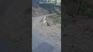 Chamba District Nature Hills view Himachal @Pciwala #trendingshorts