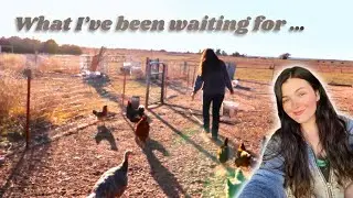 What I’ve Been Waiting For! ☀️ | Homestead VLOG