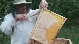 Что  же  в  корпусах  и  магазинах  .......  по  мёду ?