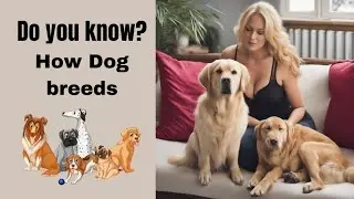 Do you know how dog breeds! Explore it with Us.🥂🎈