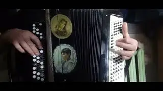 Белая берёза   кавер баян