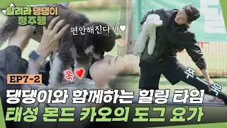 댕댕이와 함께하는 힐링 타임🍃 태성 몬드 카오의 도그 요가🐾 l #달려라댕댕이정주행 l #달려라댕댕이 l #MBCevery1 l EP.7-2