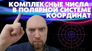 Что такое комплексные числа в полярной системе координат? Душкин объяснит