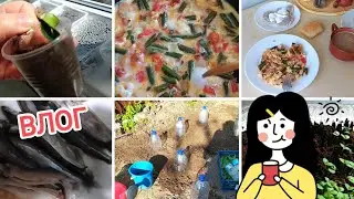 ВЛОГ 🌞ДЕЛА ДАЧНЫЕ 🍀Огородные 🤔ЗАВТРАК, ОБЕД и УЖИН🌸Сажаю кабачки 🍀