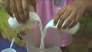 Vitamina de banana e maçã