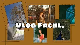 Vlog de estudos / semana quase livre