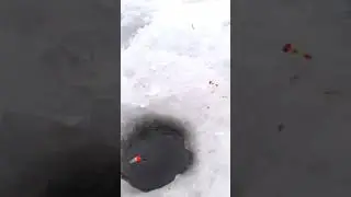 Ловля леща на поплавок зимой. 