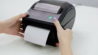 How to Install the Printer Driver on macOS? (TD-401)
